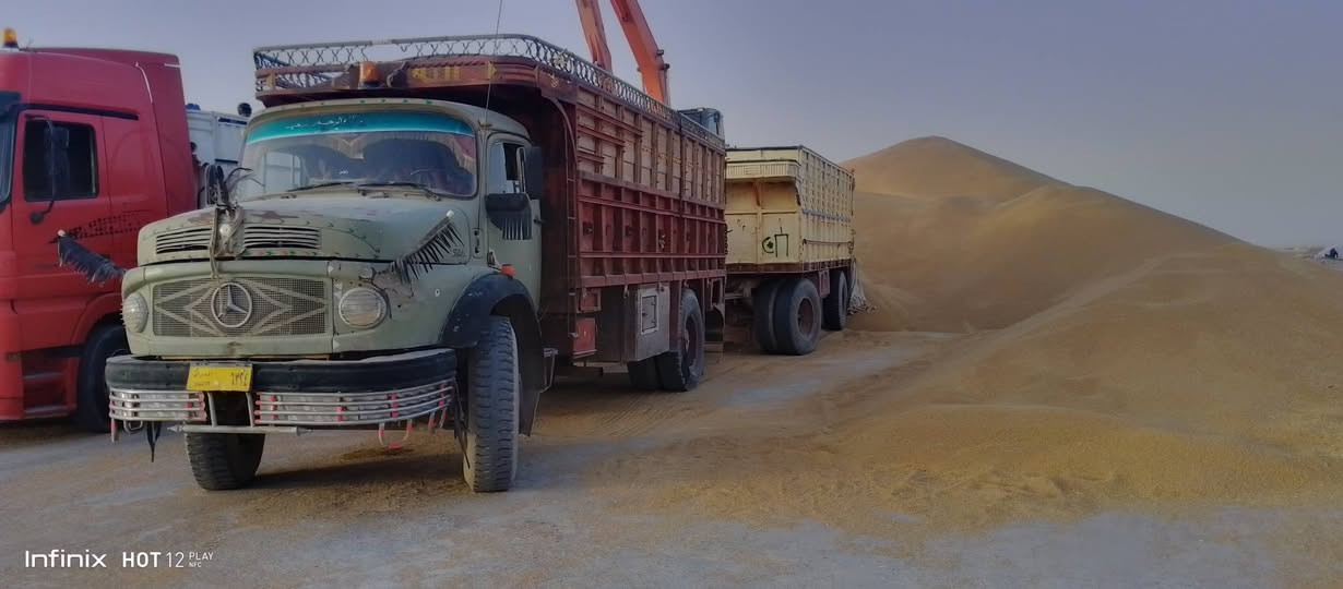 السلام عليكم
توجد سيارة قاطرة مقطورة جاهزة للاجار لنقل الحنطه الى سايلو عنه
الاتصال ***********...
