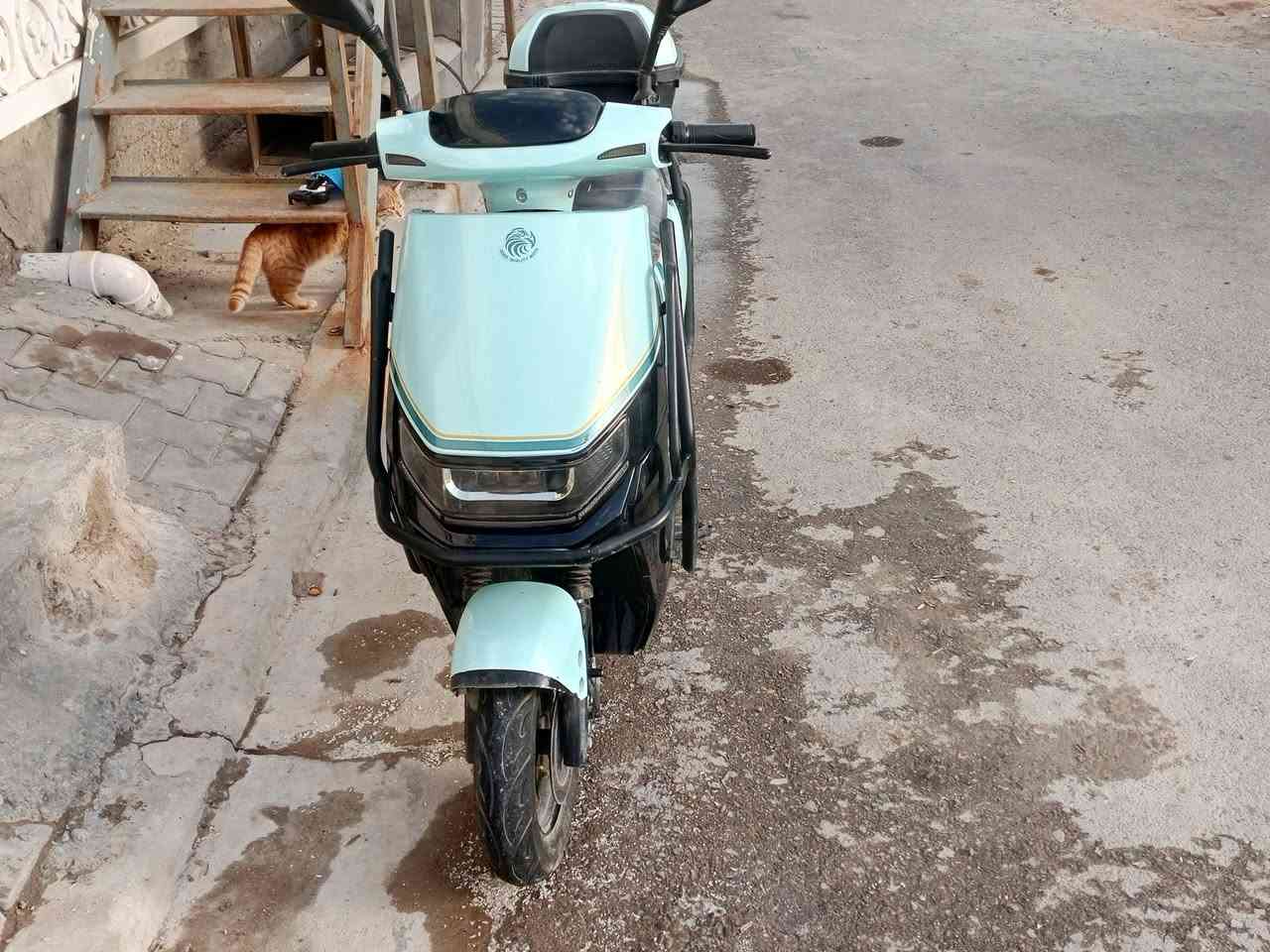 دراجه شحن 7 بطاريات جديده مسخدمه شهرين بس 3 نمر بيها بك شراي يتصل ***********
