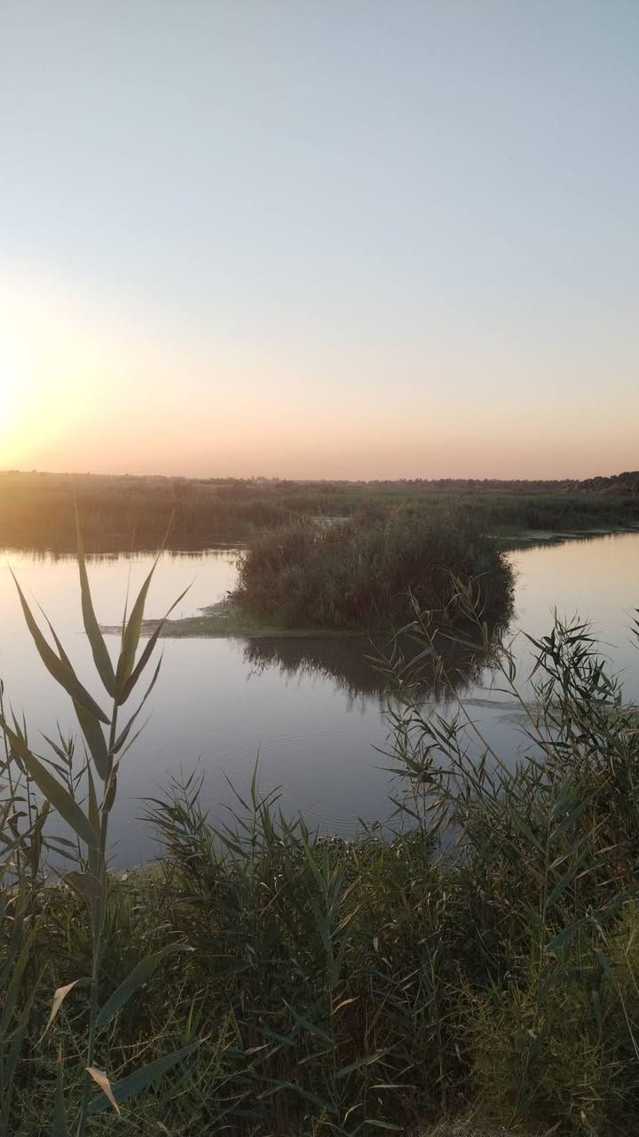 مزرعه على نهر دجله مباشر مساحة
دونم للبيع موقعه مميز  وكلش حلو🙏
💐وجه الدونم(٢٠م)والنزال(١٢٠) الدونم مسيج بالكامل
💐جنس العقار سند (٢٥) تحويل مباشر من صاحب الأرض الشرعي💐
يتوفر اشجار🌴 نخيل عدد ٣٤ برحي و بريم ومكتوم ومجهول توجد أيضا أشجار ليمون و تين وبرتقال 
👍الخدمات المتوفر ماء سقي ماء أساله وجهه مباشر تبليط
🛣️موقع الأرض  واسط قضاء العزيزيه الدير الاوسط تبعد عن طريق بغداد كوت  بمسافه كيلو٣🛣️
🙏السعر خاص او يتوفر واتساب على الرقم 
للأستفسار ***********
