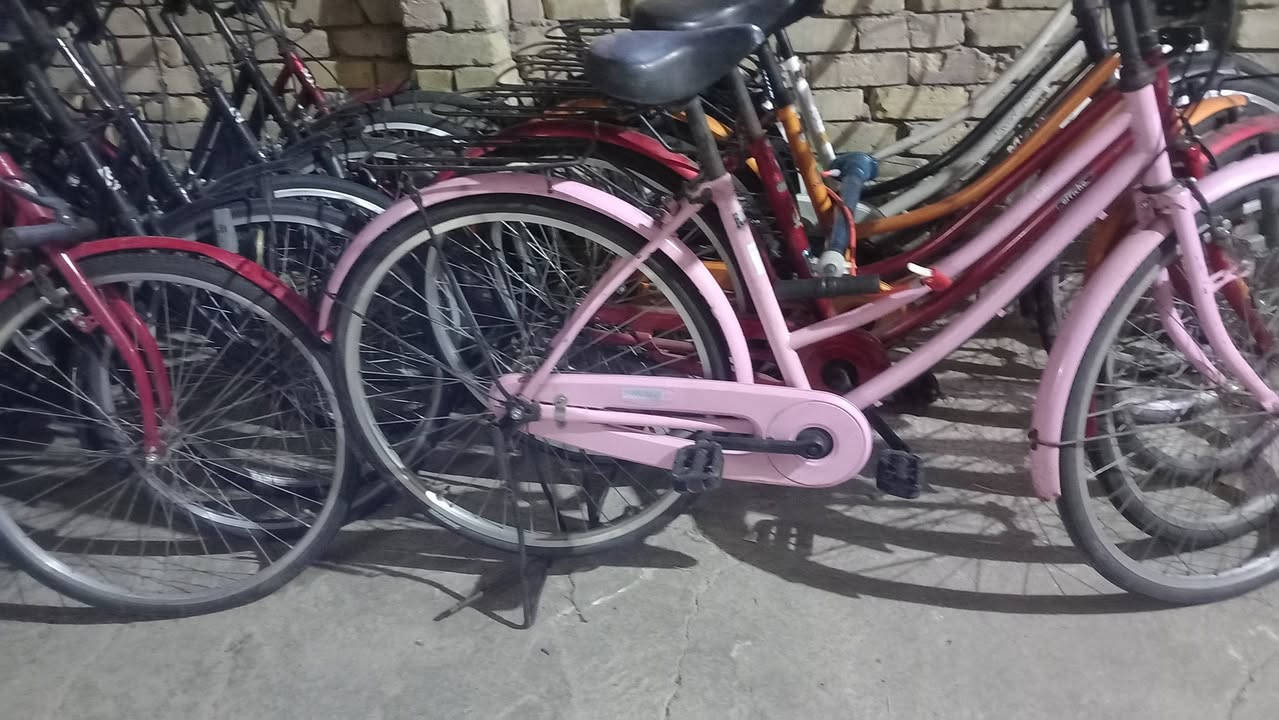 اللهم صلي على محمد وآل محمد
باسكلات حاويه للبيع 
فول نضافه ماركه ياباني حجم ٢٦ 
مكاني شطره قرب المعهد التقني مجاور ملعب الشهداء الخماسي للإستفسار على الرقم ***********بي وات ساب لالايوجد توصيل
