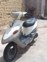 بيجي فحل • نضيفه • مستعجل