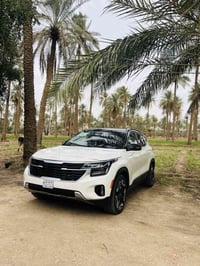 سيليتوز • ٢٠٢٤ • حادث ربع