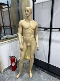 ملكانات • ٢ قطع • البصرة الجنينة