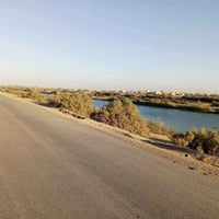 #15 دونم لأصحاب الإمكانية القليله السعر 7 مليون للدونم الواحد قفل  اتص...