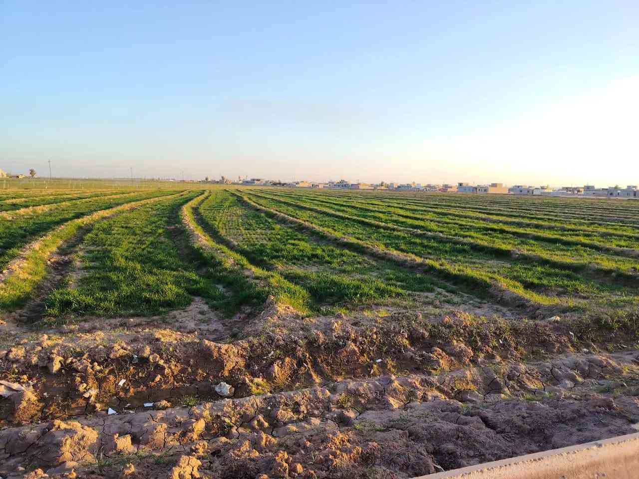 السلام عليكم أرض زراعيه للبيع مجاوره قريه العكيدات مساحة 13 لا 14 دونم معه خطين كهرباء مي اساله معه قطاس بيت ضمن الگاع واصلها التبليطط

الاتصال 
الاستفسار على الرقم ***********
