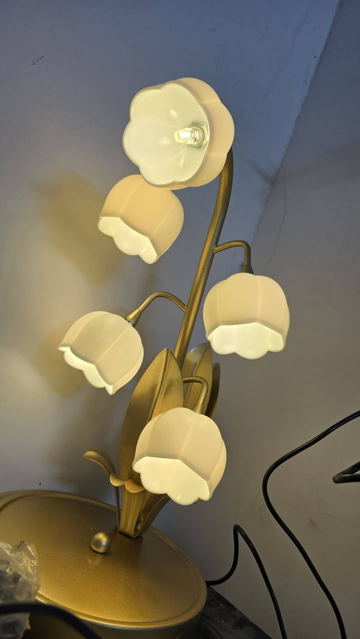 ب١٥ مع التوصيل


**إذا كنت صاحب هذا الإعلان وتريد حذفه لأي سبب، رجاءا أرسل رسالة إلى الدعم الفني**