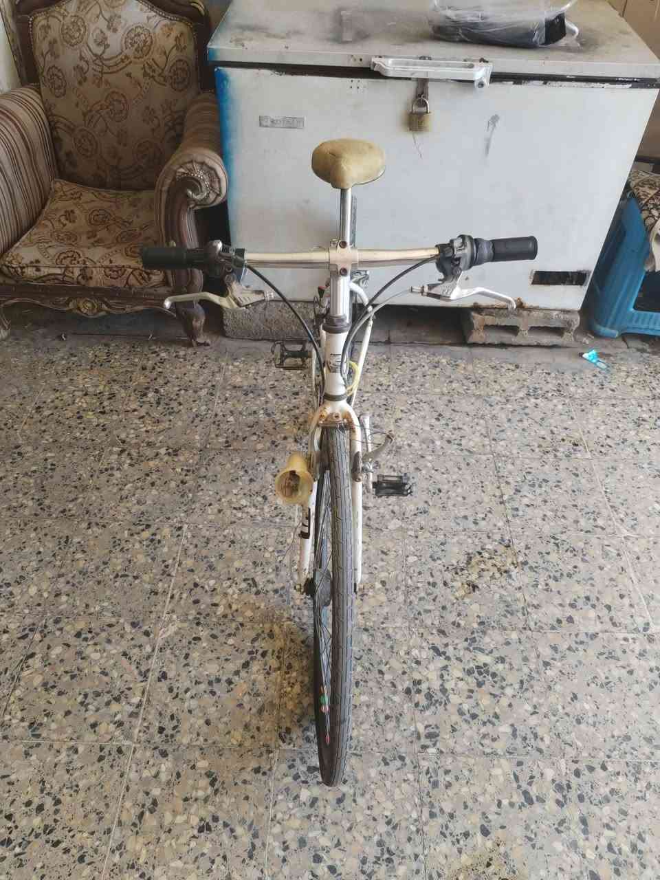 بايسكل للبيع سعره 35


**إذا كنت صاحب هذا الإعلان وتريد حذفه لأي سبب، رجاءا أرسل رسالة إلى الدعم الفني**