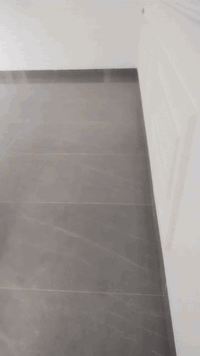 السلام عليكم ورحمة الله وبركاته بيوت تنضيف ارضيه  شغل نضيف  وتصل على هذا الرقم؛؛ ***********
