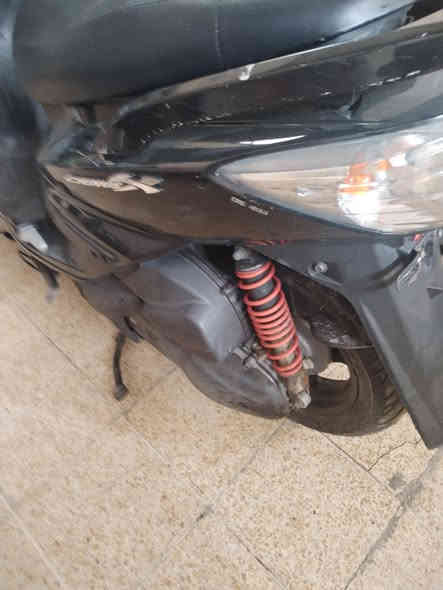 سلام عليكم سكنس فحل ورد ياباني ام طلاعات خطين نوزل البيع رقم الجوال *********** مكان بغداد
