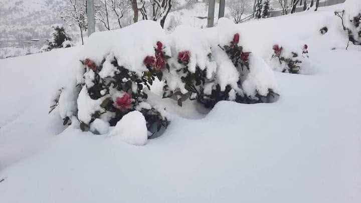 مساء الخير على اجمل متابعين وبيج شركة نور المصطفى للسياحه والسفر 😎👋

رجعنه وياكم من جديد 😍

برنامج يوم الجمعه حيكون دهوك جبل كارة الثلجي يوم واحد سعر مقعد (10) الاف

برنامج الرحله يشمل 👇😍

1. جبل كاره الثلجي 
2. سد دهوك 
3. استراحة مطعم 
4. مول دهوك 
5. مول اسطنبول 
6. حديقه الحيوانات 
7. فاملي مول 

وبعدها رجوع اليه الموصل الحبيبه 

ملاحضه الحجز مفتوح والمقاعد محدوده جدا 🤏

للحجز والاستفسار 
***********📞
***********📞

دع القياده لنا وستمتع بل رحله 🥰😎
