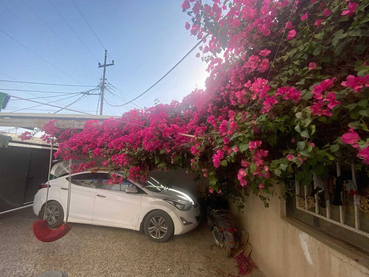 بيت للبيع في ابي صخير الصدرين 
التفاصيل 👇👇
المساحة 280 
 ديوان كبير + اربعة غرف + صالة كبيرة + مطبخ حار وبارد + صحيات داخلية وخارجية + گراج سيارة 
التفاصيل والسعر الاتصال على الرقم
***********
