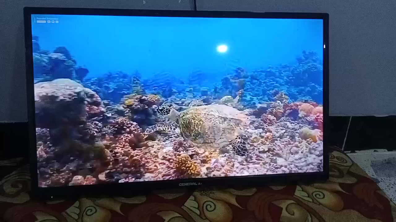 السلام عليكم لدينا شاشه للبيع حجم 32 جنرال انترنت فول نظيفه حيل صورتها رقم واحد وانترنت سريع سعرها من الاخير بدون معامله قفلها قفلها قفلها من الاخير 65 و المراسله على الخاص او الاتصال على الارقام التاليه
***********
***********
وكورك بيه واتساب
