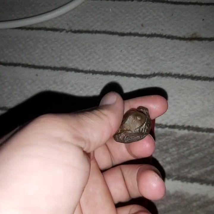 سبحان الله هاي هاكبراته وتسوي المستحيل هبهابه فاسده


**إذا كنت صاحب هذا الإعلان وتريد حذفه لأي سبب، رجاءا أرسل رسالة إلى الدعم الفني**