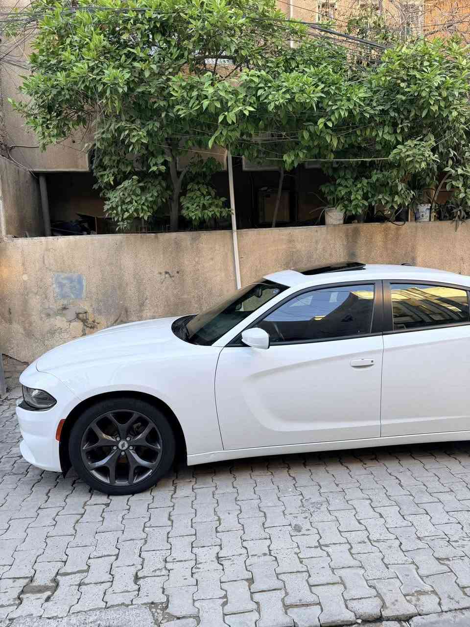 جارجر 2017  كلين تايتل رالي فول مواصفات بيه بارد يل جاملغ الأمامي اصيعين ممبينات رقم سليمانيه باسمي ***********  اتصال فقط  
سعر /٢٤/٥٠٠
واتساب *********** فقط
