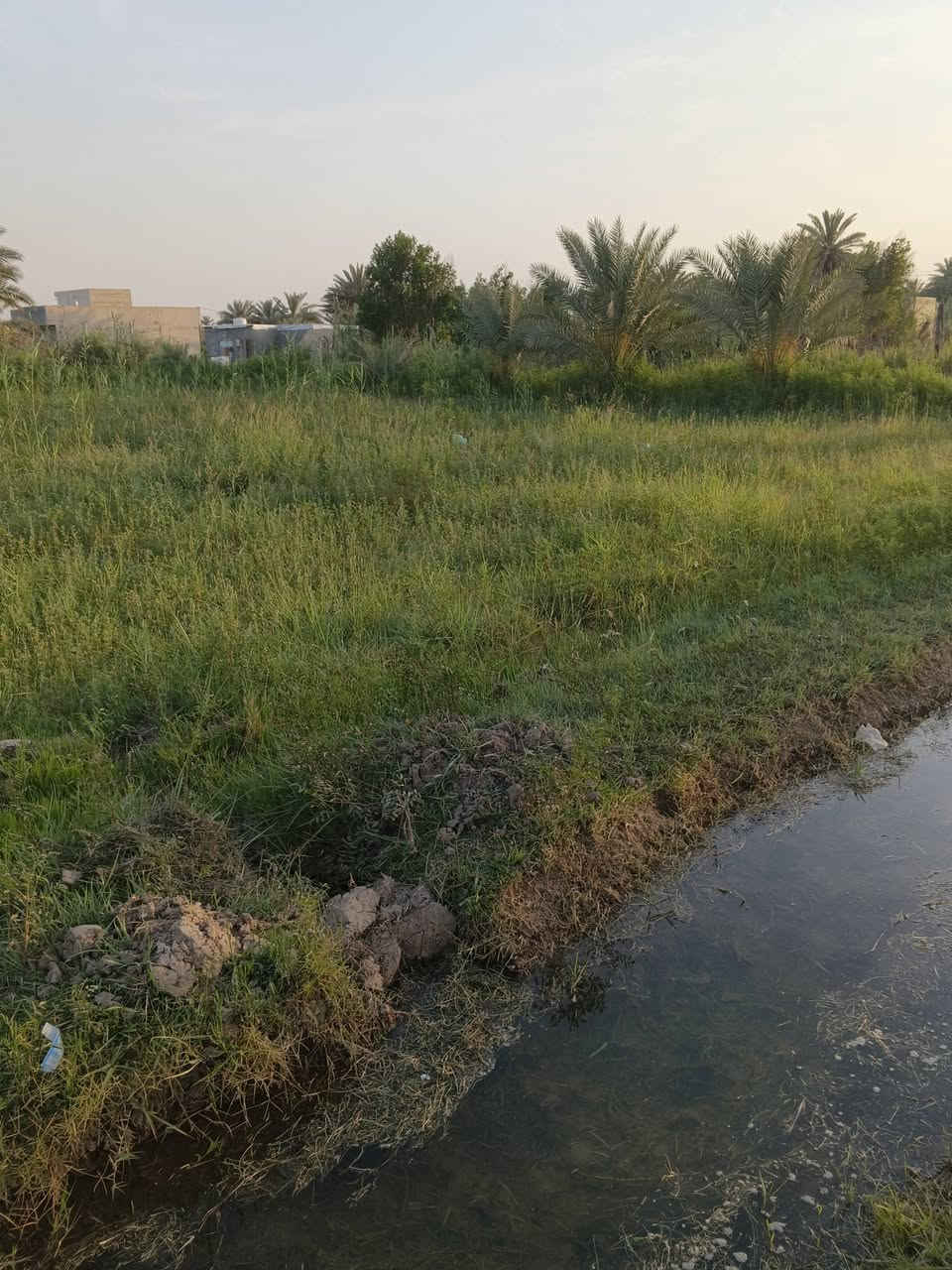 سلام عليكم عرض جديد🚩
قطعه ارض المساحه دونم (2500)متر 🌷
طابو زراعي سند)(25)🌷🚩
الخدمات كلها متوفره 🚩🌷
كاع زراعيه حلوة تريد دونم فارغ تريد دونم بيه 14نخله بكيفك تختار ينباع واحد بس منهن 🚩🌷
الوجه (50والنزال50) 🚩🌷
(العنوان منطقة سيد سهل ) 
السعر (67)وبيه مجال  🚩🌷
الخدمات كلها متوفره ماء وكهرباء وماء سكي 🚩🌷
***********
