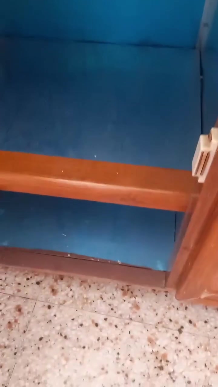 السعر ٦٠ بعقوبه السراي


**إذا كنت صاحب هذا الإعلان وتريد حذفه لأي سبب، رجاءا أرسل رسالة إلى الدعم الفني**