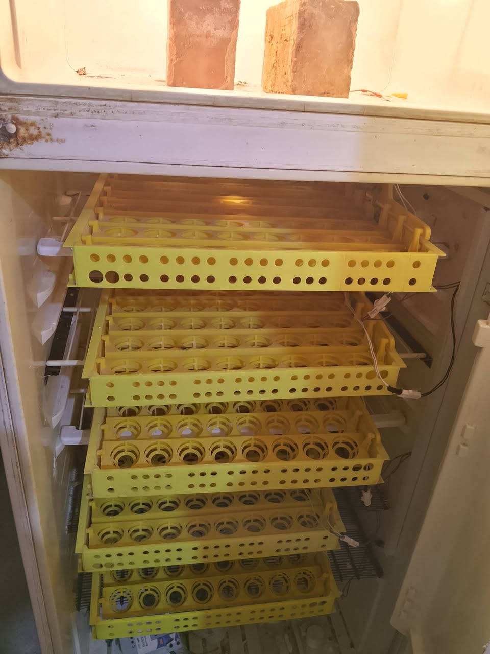 السلام عليكم فقاسة كشر ثلاجه للبيع فول اوتماتيك تاخذ ٢٨٠ بيضة سعرها ١٧٥ الف قفل


**إذا كنت صاحب هذا الإعلان وتريد حذفه لأي سبب، رجاءا أرسل رسالة إلى الدعم الفني**