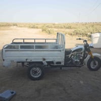 ستوتة • ٢٠١٠ • سنوية ساقطة