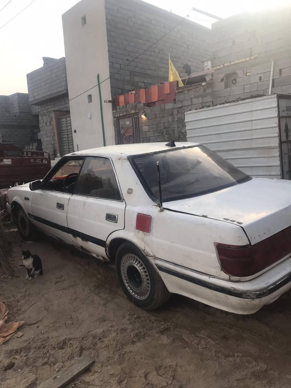 هارتوب طويل ايسر مديل 88 لبيع ب ١٨ ورقه وبيه مجال مكانه بصرة شط العرب جزيره ثالثه مكينه بيه بدايه بكن كير خير من الله حدايده نص عمر تخم تاير جديد باتري جديد سياره رقمه ذي قار سنويه عضم عاج راعيه ما اندله سنويه نافذه ب٢٠٢٠ اتعهد سرقه وعشائر سياره بيه خيسات وبدي شوف عين سبير بيه دواخله شوف عين وعبار بريك جديد وتجي تدلل متواجد خاص واتساب واتصال ***********
