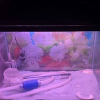 حوض سمك • كبير