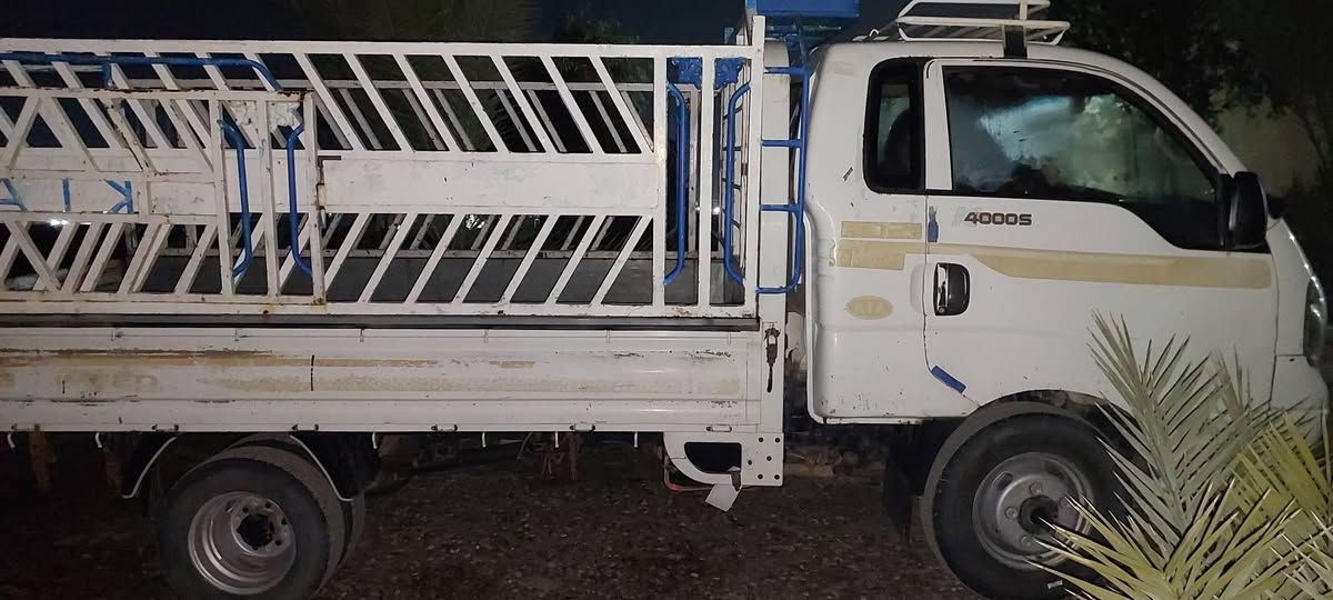 السلام عليكم فحل للبيع موديل ٢٠١٢
رقم صلاح الدين الماني سنوية 28 
سعر 105
تفاصيل استفسار على الرقم ***********
