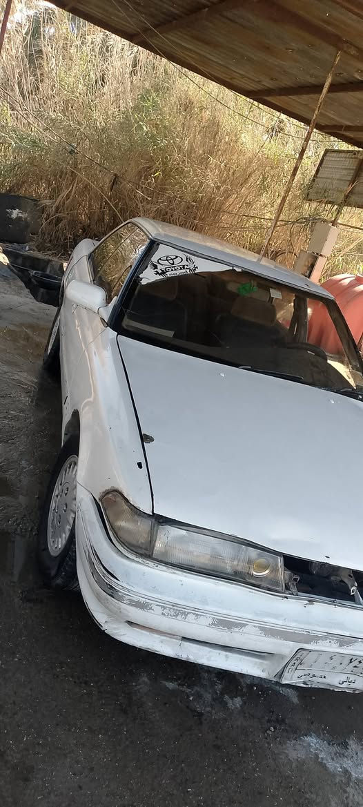 سلام عليكم مارك للبيع  راعيها موجودسنويه عضم  حداديه حلوه كهربائيات كلها شغاله غرفتها حلوه  السعر ٢٠ مكاني بابل قضاء الكفل شراي يتفضل خاص او اتصال *********** رحمه لوالديكم مو شراي لا يتصل واكون ممنون
