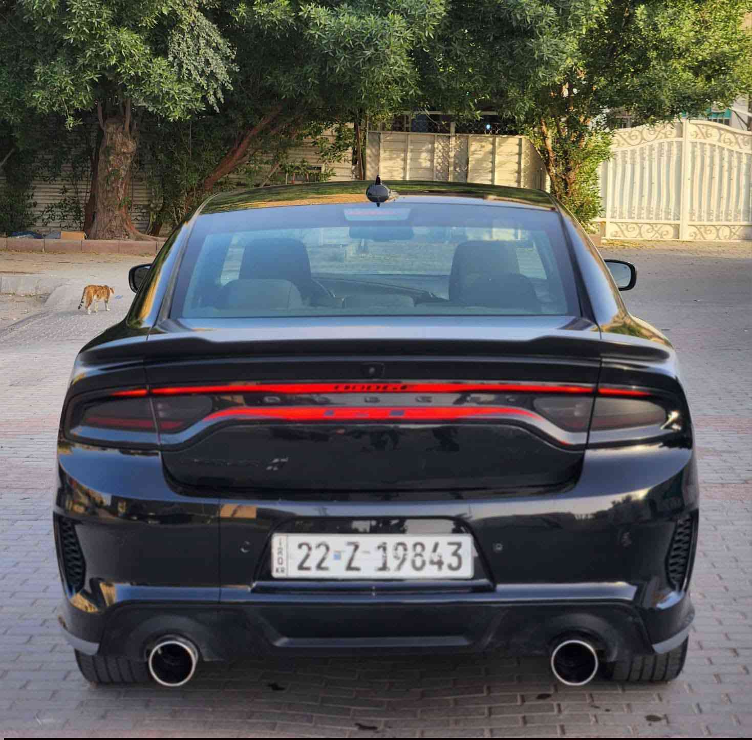 جارجر. 2023
لون اسود ♠️♠️♠️♠️

العداد: 32مايل

رقم أربيل الجديد وكاله تحويل مجانا

المحرك : V6.  3.6L 

فور ويل 

سياره جديده بمعنى الكلمه 

المواصفات عاديه  

شاشه كبيرة مع نظام ملاحة GPS 

 مقعد السائق كهربائي 

 حساسات مع مانع تصادم خلفي . 

 تشغيل عن بعد 

 ستيرن كهربائي 

 محدد سرعة 

 تلفون بلوتوث 

 كاميرا خلفية 

 مرايا متحسسة للاضاءة العالية 

الحادث بنيد صبغ حادث سطحي 

وتعديل بل حوض بصيط 

للتواصل ***********

السعر22900$$$$

وخابر وتدلل
