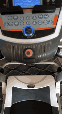 جهاز جري مستعمل  للبيع ، التفاصيل 
جبلي ،دبل ماطور انبيثري شاشه لمس 
هزاز  الوزن 150،المكان بابل حله مركز ، السعر 250 وبي مجال ،الرقم *********** بي واتساب ، ملاحظه ملاحظه اذا مو شراي لتعبني التفاصيل كلهن حطيتهن
