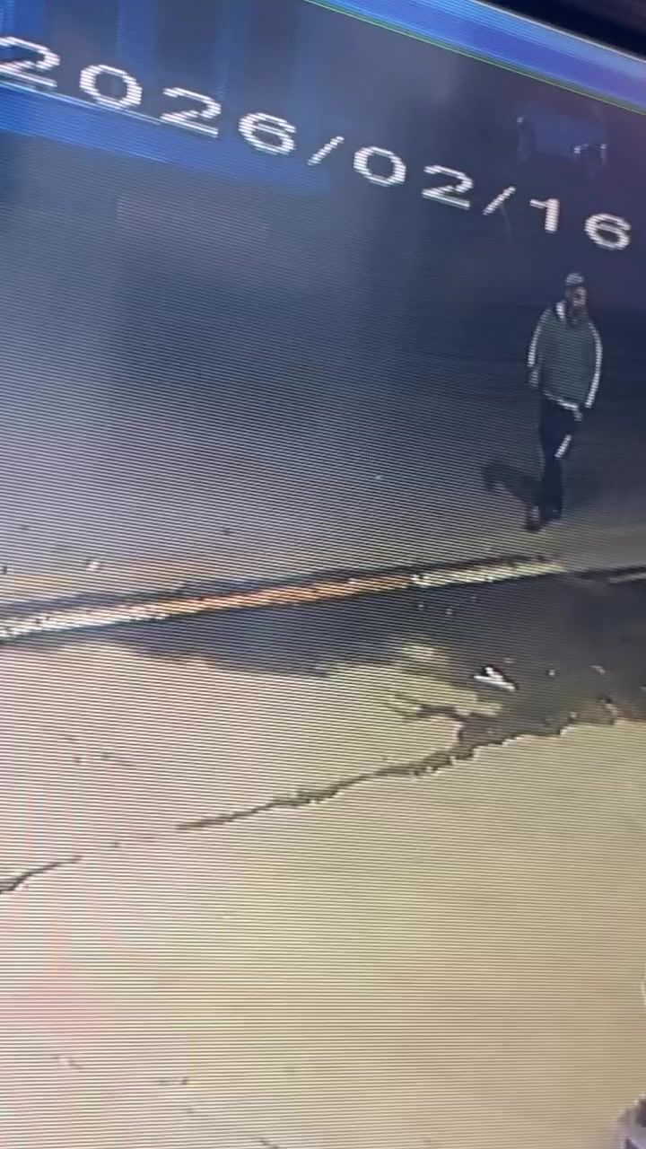 نباكت دراجه بحي اور ماقبيل جامع الفردوس ماكس منغولي سوده اليعرفهم ويدلي عليهم اله مكافئه ماليه 
***********
