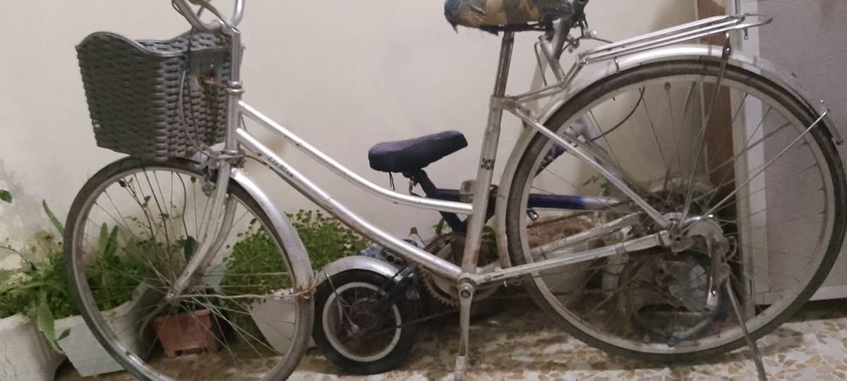 السلام عليكم بايسكل للبيع الويل الورا يعوزو 4 تيول والجوب الورا بنجر اذا مراوس اراوس و انطي فرغ ميخالف و اذا بيع السعر 65 و بي مجال مكاني موصل الايسر حي القدس ***********
