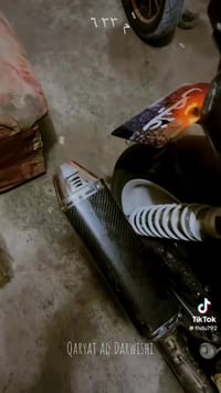 سكنس جبلي للبيع 07723757690