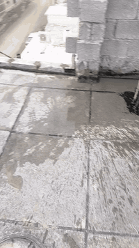 *********** ستفسار الرقم
