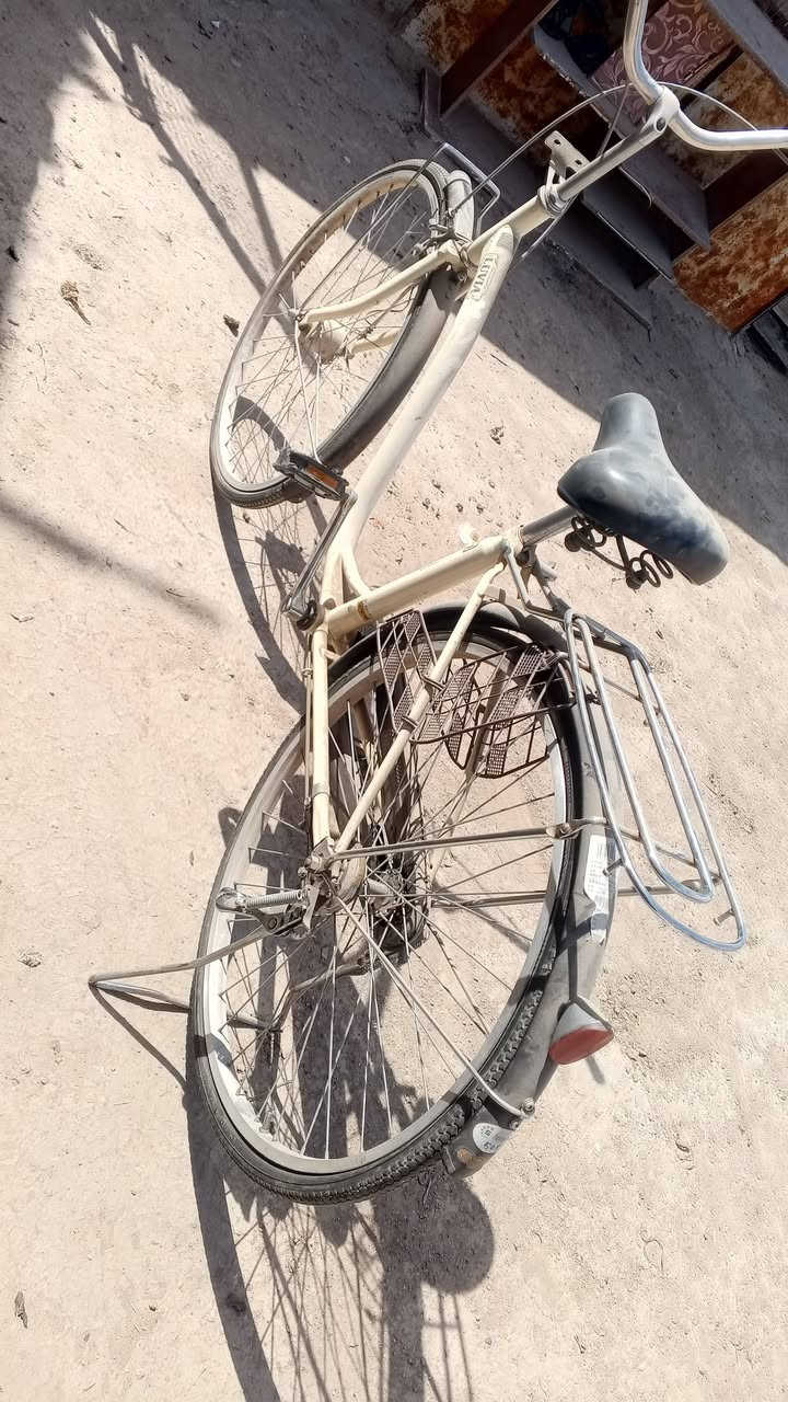 بايسكل للبيع
بايسكل كفالة 
ما صارله جم يوم نازل حاويه
نضافته 99/100
موديل 2019
بعده بتراب الحاوية
سعر خاص📝


**إذا كنت صاحب هذا الإعلان وتريد حذفه لأي سبب، رجاءا أرسل رسالة إلى الدعم الفني**