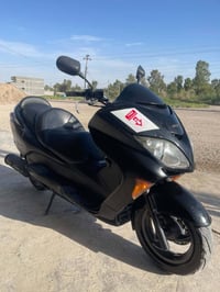 للبيع ٠٨ مكفوله من كلشي مكاني واسط الصويره 950 وبيهة مجال 07815586233