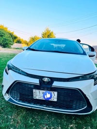 كورلا • ٢٠٢٠ • معدلة للمعاقين