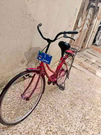 كوكونت • ٢٠١٥ • شغال