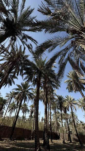 السلام عليكم 
 أرض للبيع المساحة 1000 متر  الواجهة 30  والباقي نزال ارض مربعة عباره عن واجهة طابو ملك صرف (25) سند منفرد  ب اسم شخص واحد تحويل اسهم وليس اقرار  ب اسم المشتري مباشر بالسند مذكور 1100 متر احولك اسهم الف و100 متر وواقع الحال تصفى الف وشوية… كربلاء طريق فندق البارون شارع السيدة زينب منطقة الجرية قرب سوق الجرية  عامود 235 تبعد عن مركز المدينة 7 كيلو السعر 140 قابل للتفاوض … ***********
