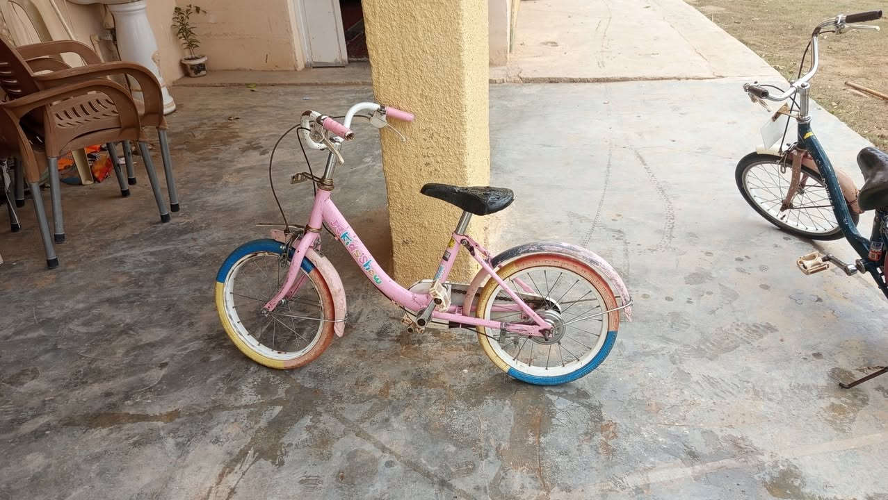 السلام عليكم بايسكلات عدد ثلاثه للبيع السعر 110 وفي مجال استفسار عن الرقم***********
