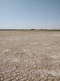 أرض زراعية • ٣٠ دونم • المعهد التقني الكوت