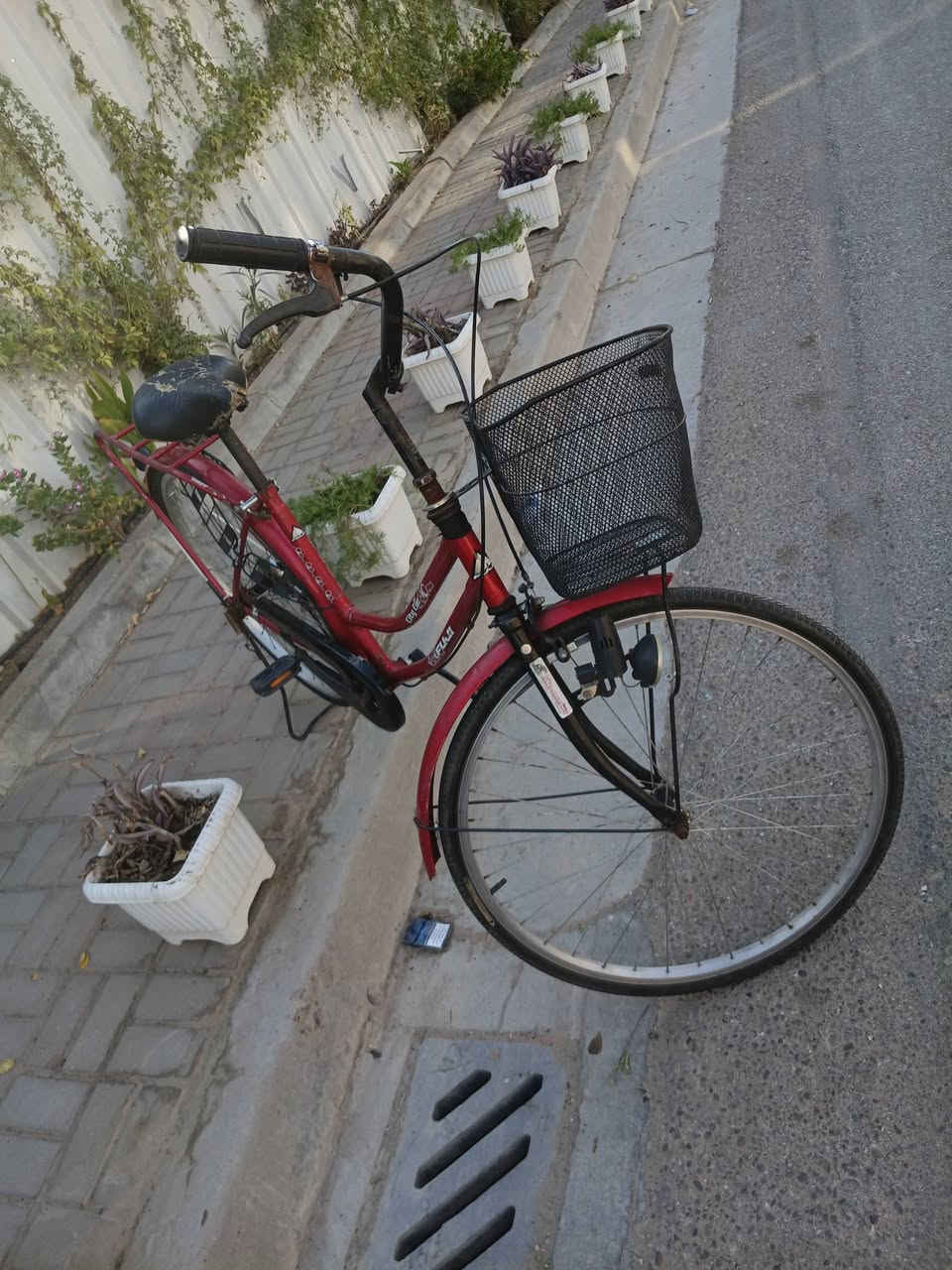 باسكل بناتي للبيع نضفه ٨٠%مال باله يابني نضيف السعر ٦٥ وبي مجال للطيبين المكان بغداد الحريه اليرده يرسلني خاص او يرسلني عله الرقم مال وتساب *********** لا يوجد توصيل
