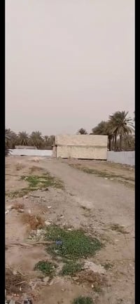 نزال صالح مصطفى • شارع الفلل • ٦٥م