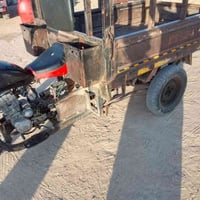 ستوته • مديل ١٢ • نجف