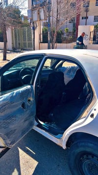 فاصوليا • ١٩٩٦ • سليمانيه