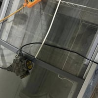 موطور ماء سمك غطاس ماء سمك سنك مرمر سماطه دجاج ميزان 100 كغم مجمده  4 ...