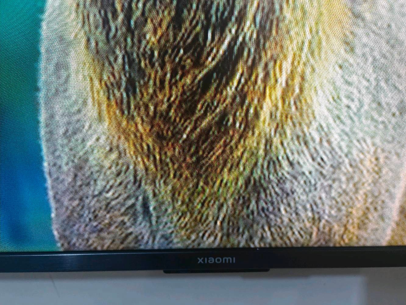 شاشة شاومي A pro 2026  حجم 55 نظافة 100% كامل ملحقات استخدام شهر نقص كارتون فقط للبيع سعر 450 قفل عنواني بغداد ماعندي توصيل اي استفسار عالرقم ***********