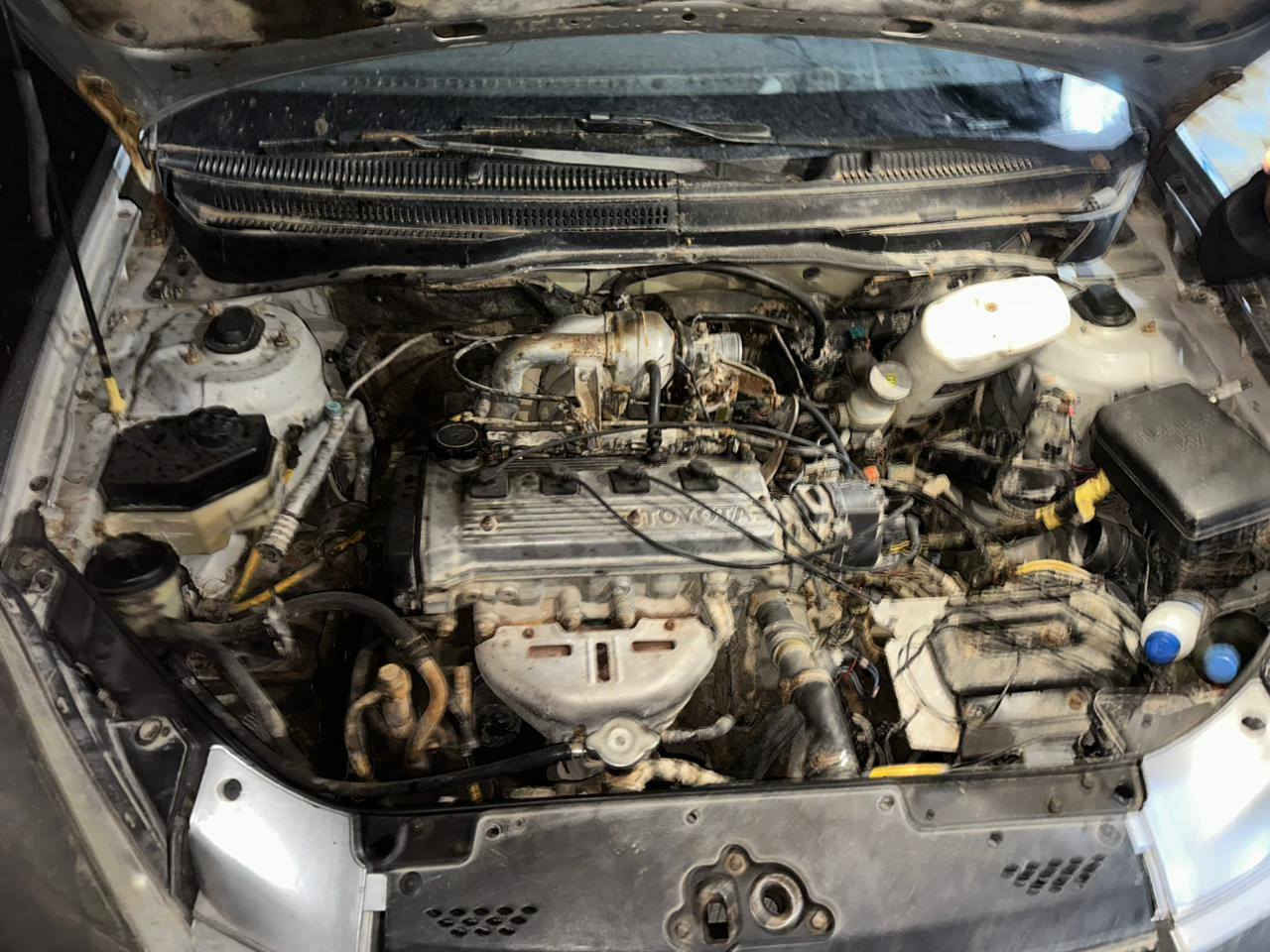 محرك كورلا مشعول بي كازكيت هوا ولكير ولتفرعات مالو كامل وعقل وضفيره كامل السعر خاص مكاني موصل جديده ***********
