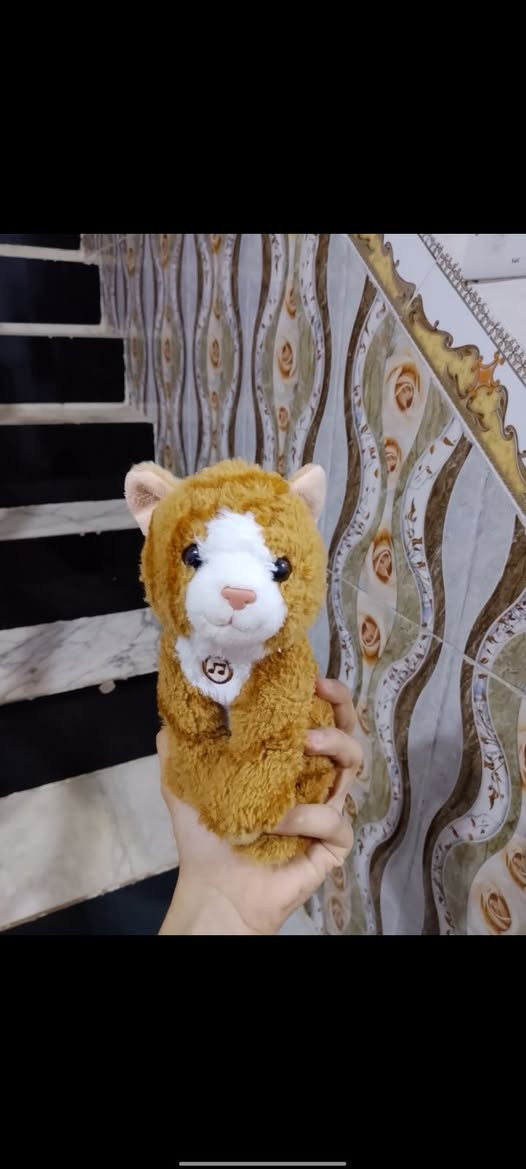 للحجز واتساب ***********
العاب اطفال سعر القطعه ٧٥٠ دينار😍🔥🔥🔥🔥
متوفر توصيل🛵
