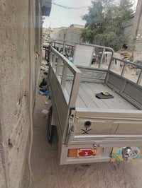 ستوته • بدون راعي • رقم سنوية