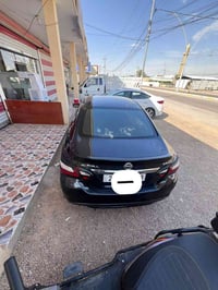 التيما فول • ٢٠١٧ • رقم سليمانية