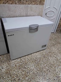براد • تجميد فول • ١٧ تموز
